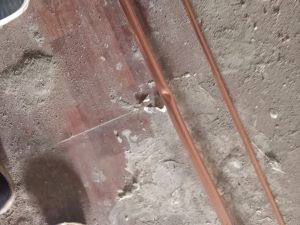 Home whatsapp image 2026 01 12 at 5.22.50 pm