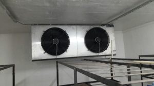 Home whatsapp image 2026 01 12 at 5.22.55 pm