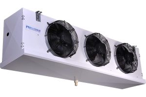 Home whatsapp image 2026 01 12 at 5.22.56 pm (2)