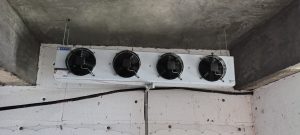 Home whatsapp image 2026 01 12 at 5.23.30 pm (1)