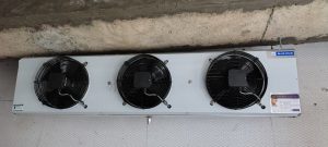 Home whatsapp image 2026 01 12 at 5.23.31 pm (1)