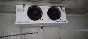 Home whatsapp image 2026 01 12 at 5.23.45 pm