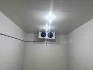 Home whatsapp image 2026 01 12 at 5.23.52 pm (2)