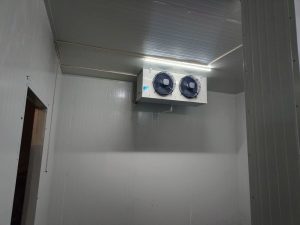 Home whatsapp image 2026 01 12 at 5.23.52 pm